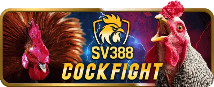 Đội ngũ hỗ trợ khách hàng Kingbet Chính Thức
